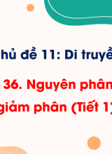 Bài 36. Nguyên phân và giảm phân (Tiết 1)